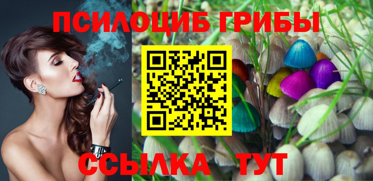 Псилоцибиновые грибы Psilocybine cubensis Новокузнецк