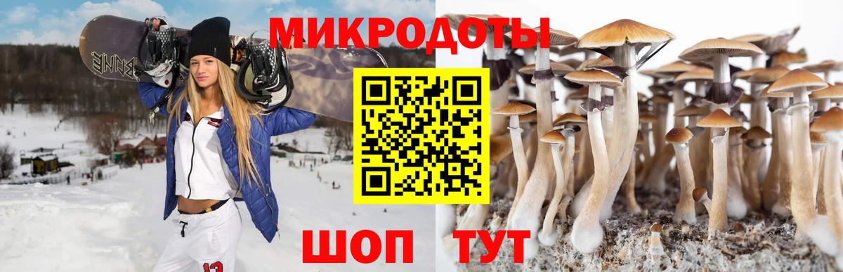 Галлюциногенные грибы Magic Shrooms  Вход с VPN  Псилоцибиновые грибы ЛСД  Новокузнецк 