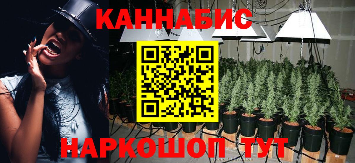 Бошки марихуана план Новокузнецк